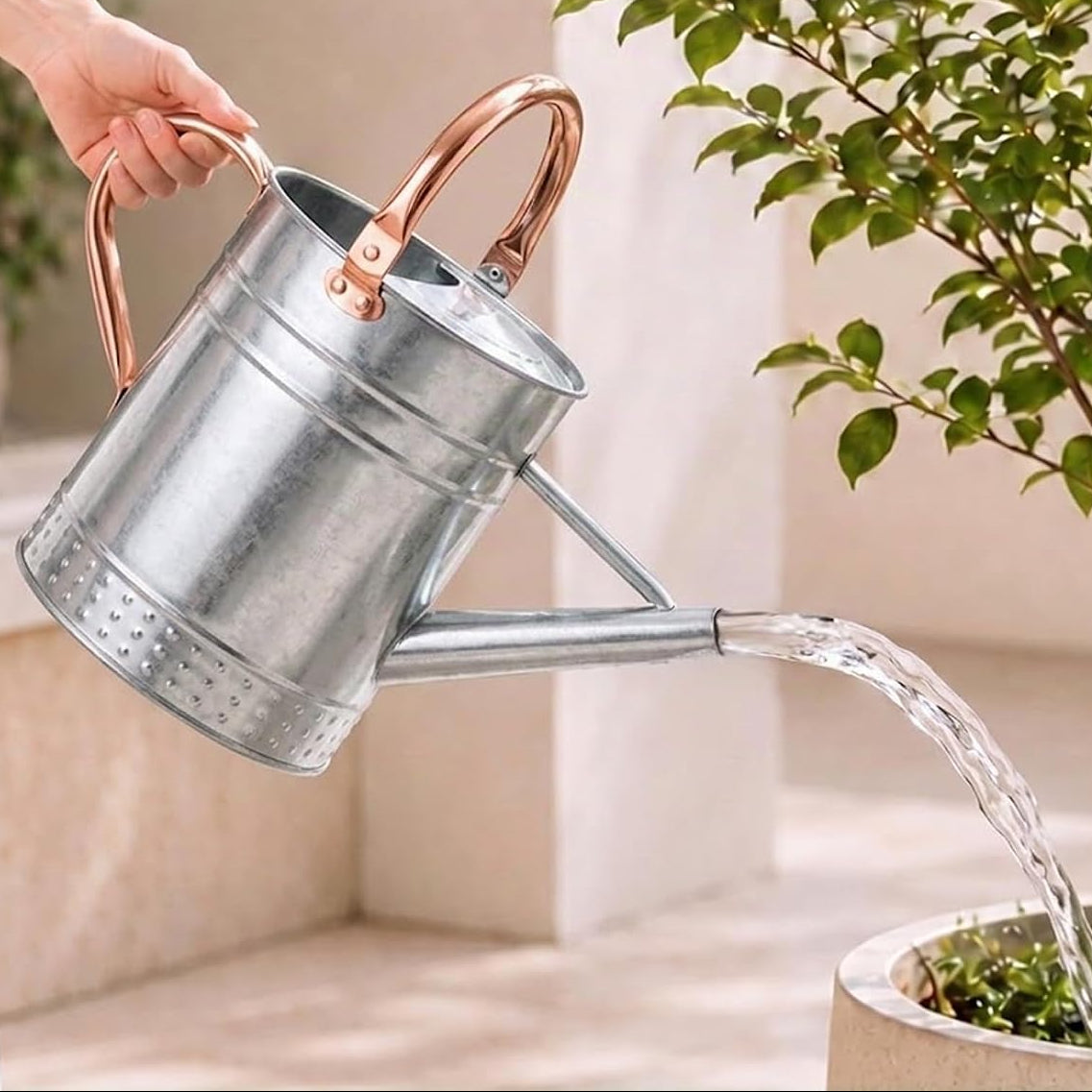 Regador de 3,8 L com bico destacável para plantas de interior e jardim – Prateado