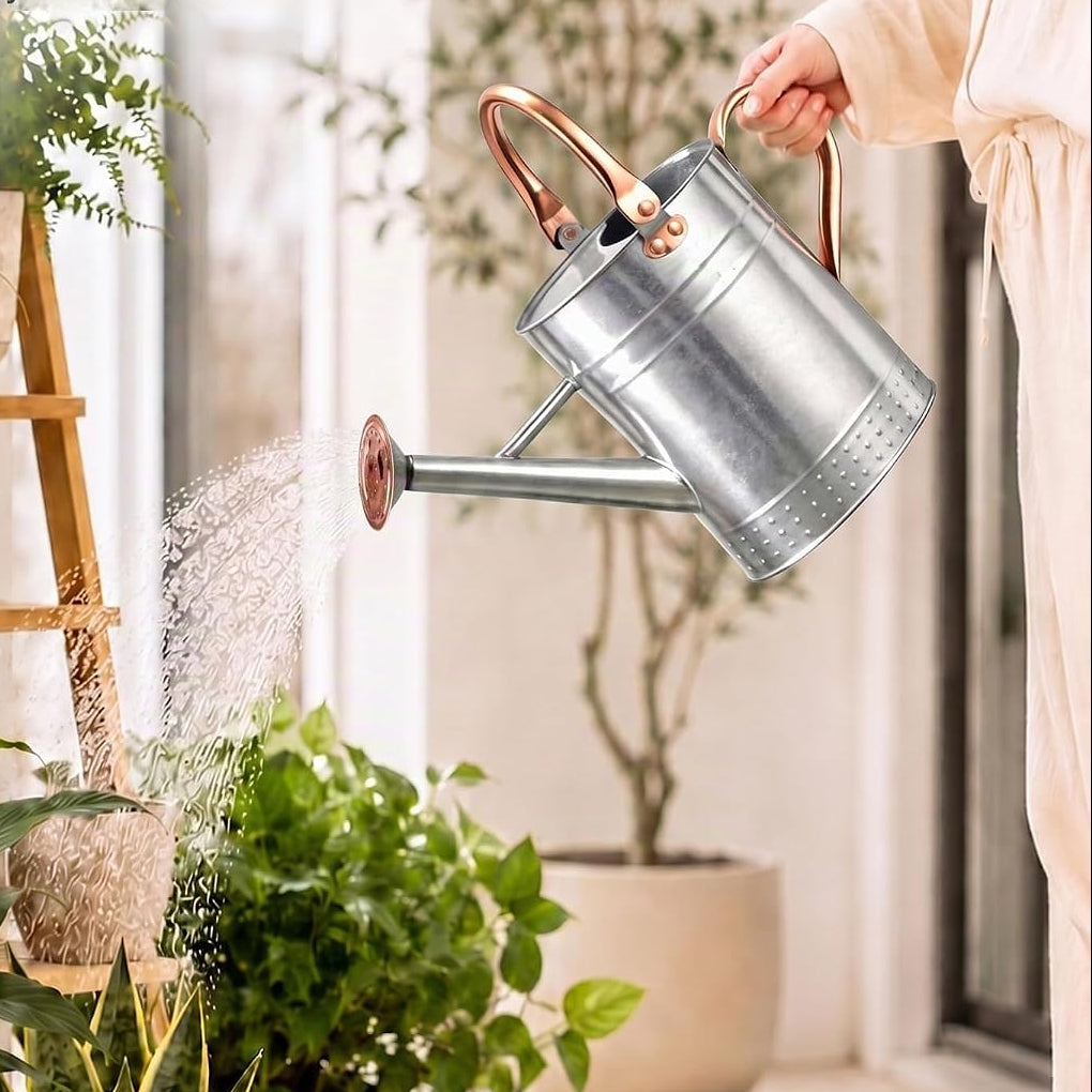 Regador de 3,8 L com bico destacável para plantas de interior e jardim – Prateado