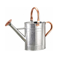 Regador de 3,8 L com bico destacável para plantas de interior e jardim – Prateado