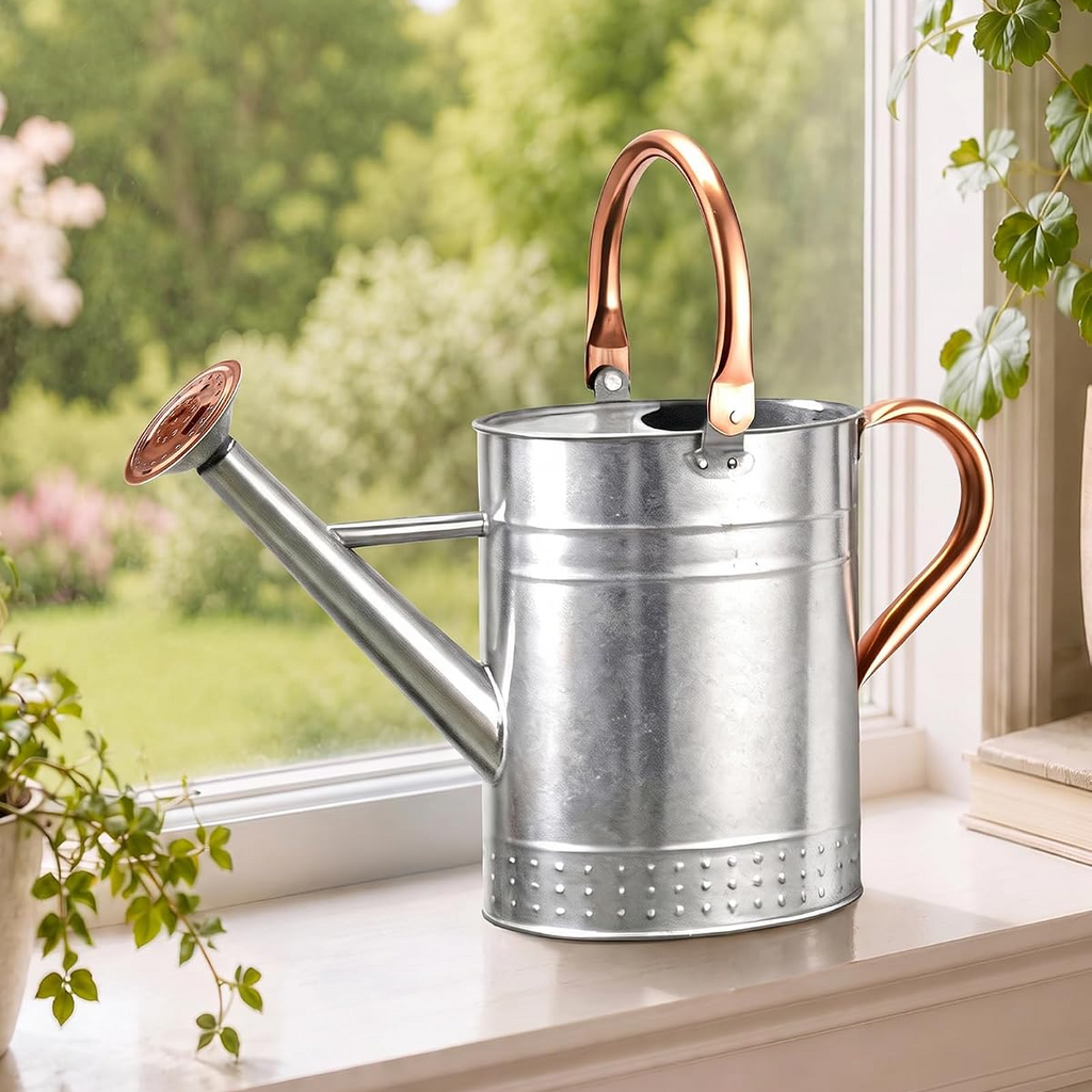 Regador de 3,8 L com bico destacável para plantas de interior e jardim – Prateado