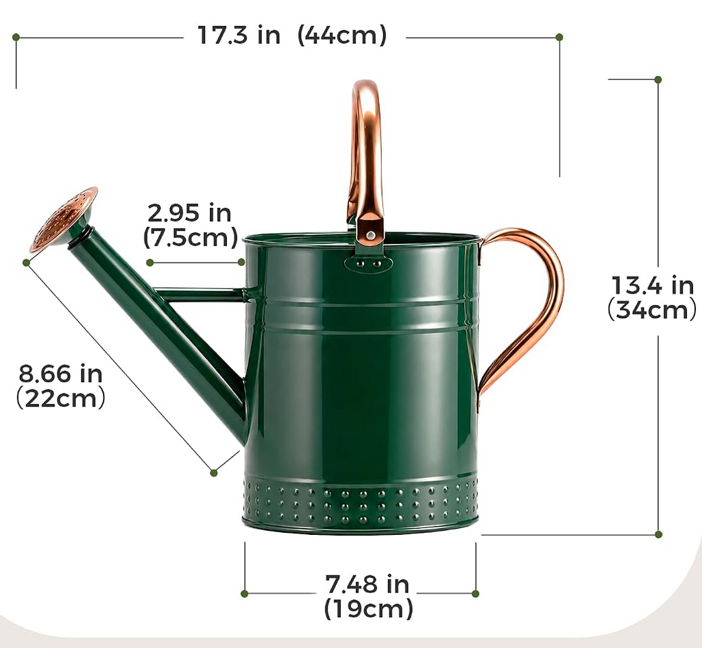 Regador de 3,8 L para plantas de interior e jardim com bico destacável – Verde