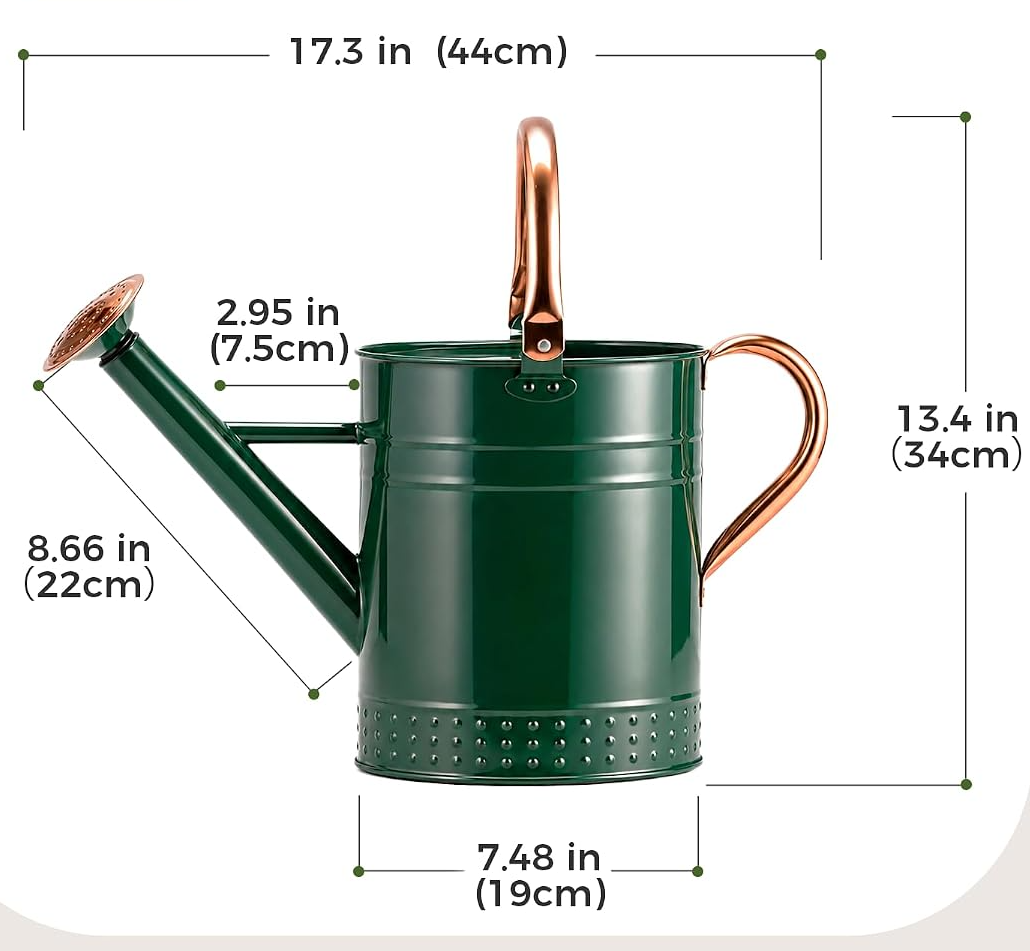 Regador de 3,8 L para plantas de interior e jardim com bico destacável – Verde