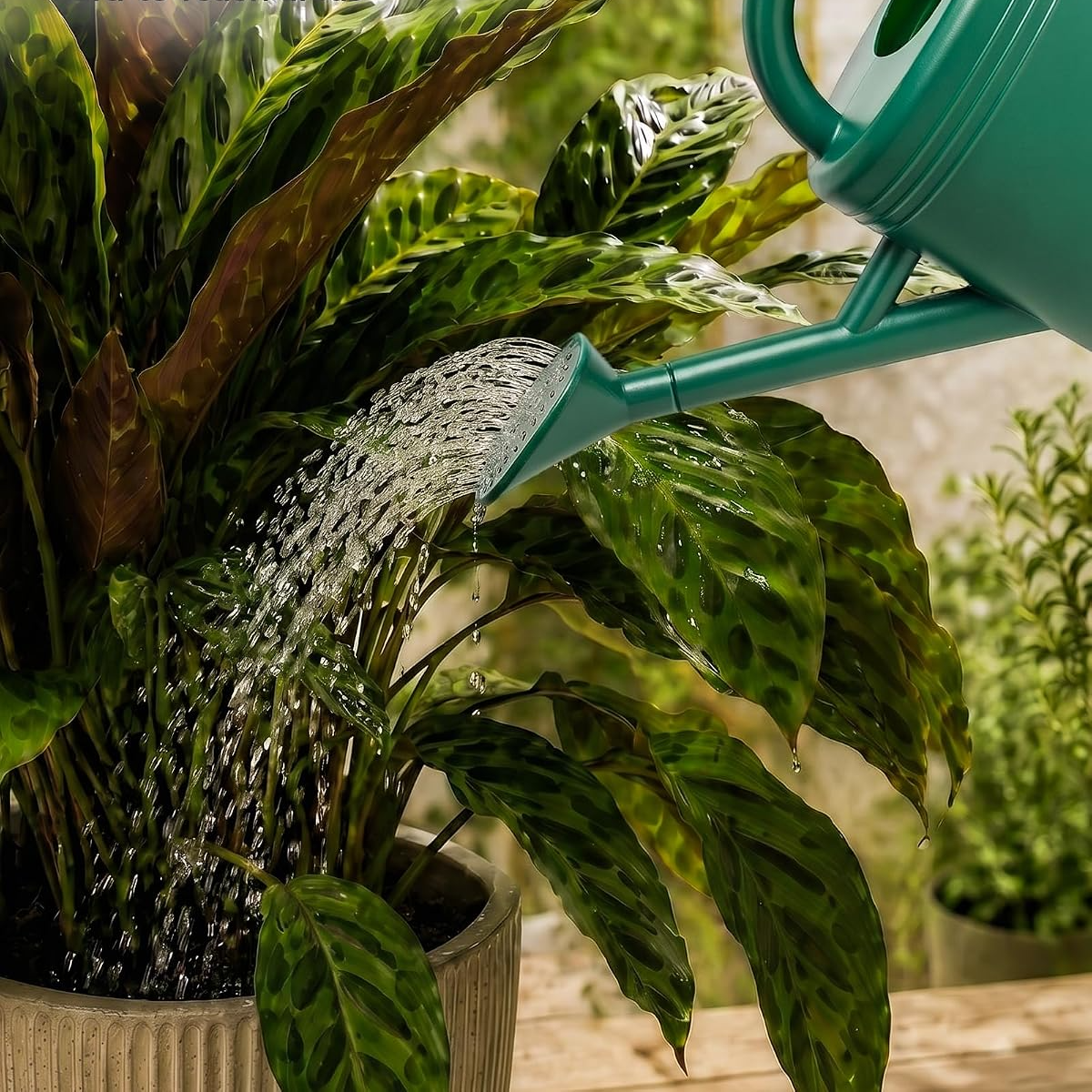 Regador de 3,8 L com bico amovível e sistema antigotejamento – Verde