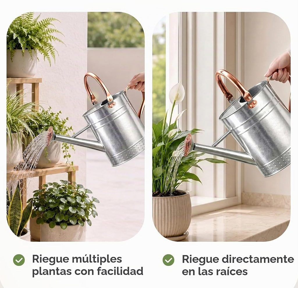 Regador de 3,8 L com bico destacável para plantas de interior e jardim – Prateado