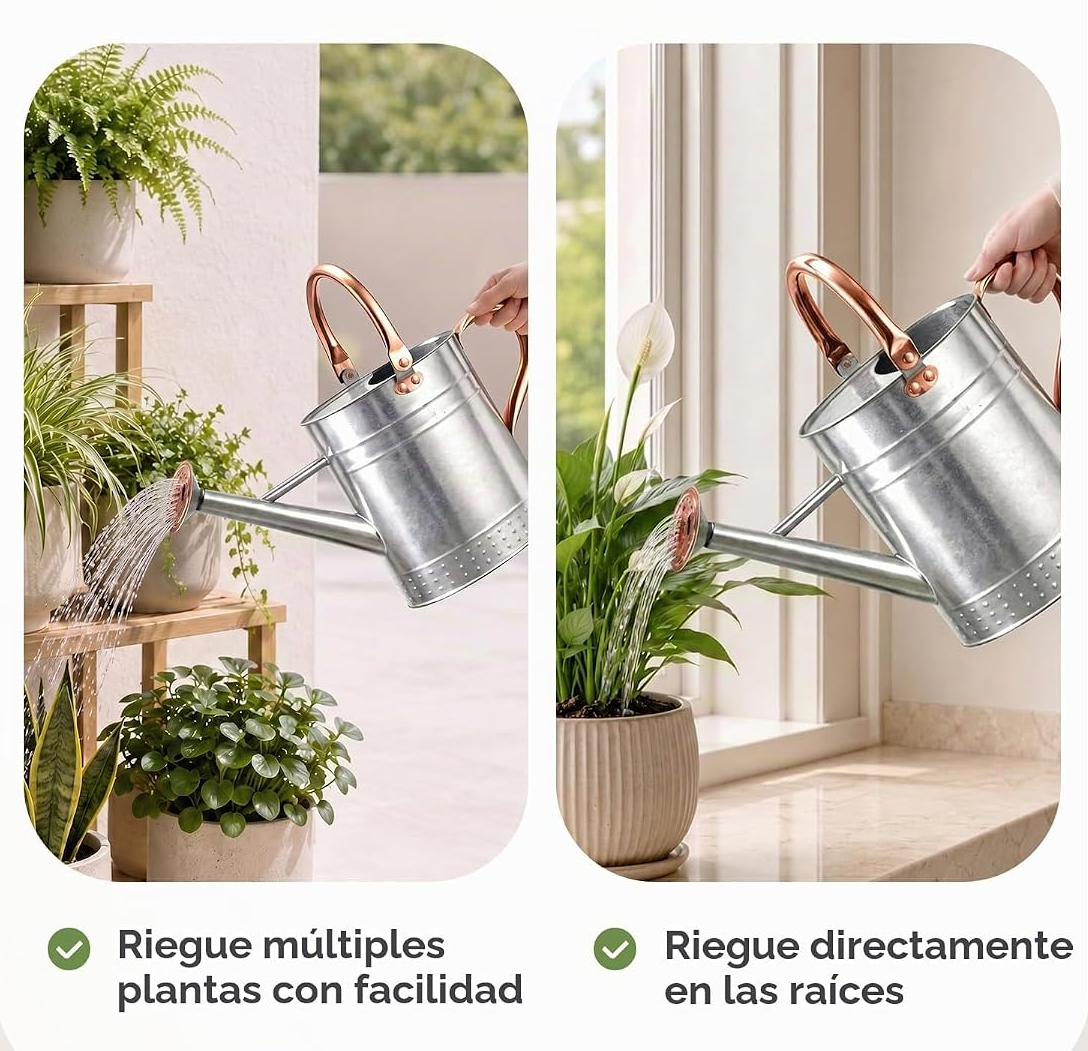 Regador de 3,8 L com bico destacável para plantas de interior e jardim – Prateado