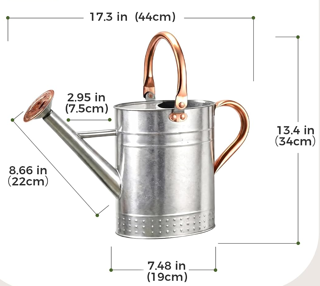 Regador de 3,8 L com bico destacável para plantas de interior e jardim – Prateado