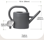 Regador de 3,8 L com bico amovível e sistema antigotejamento – Cinzento