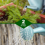 Regador de 1,8 L com bico comprido e chuveiro amovível para plantas de interior e exterior – Azul