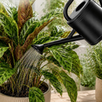 Regador de 3,8 L com bico amovível e sistema antigotejamento – Preto