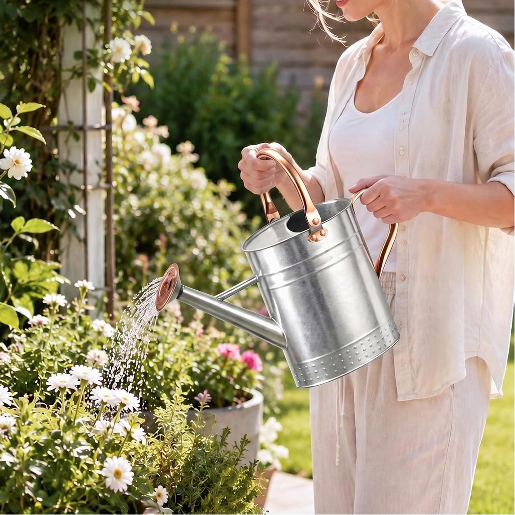 Regador de 3,8 L com bico destacável para plantas de interior e jardim – Prateado