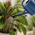 Regador de 3,8 L para plantas de interior e exterior com bico amovível – Azul