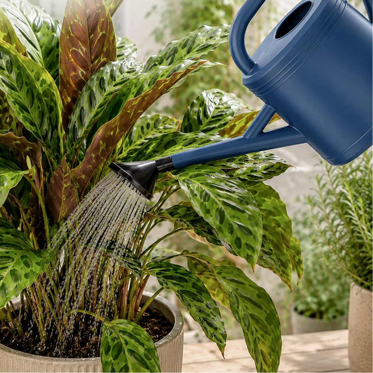 Regador de 3,8 L para plantas de interior e exterior com bico amovível – Azul