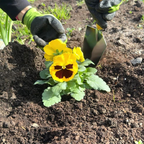 Conjunto de jardinagem com banco dobrável, saco com fecho e 5 ferramentas com cabos de madeira
