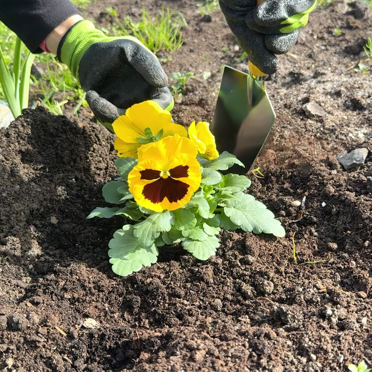 Conjunto de jardinagem com banco dobrável, saco com fecho e 5 ferramentas com cabos de madeira
